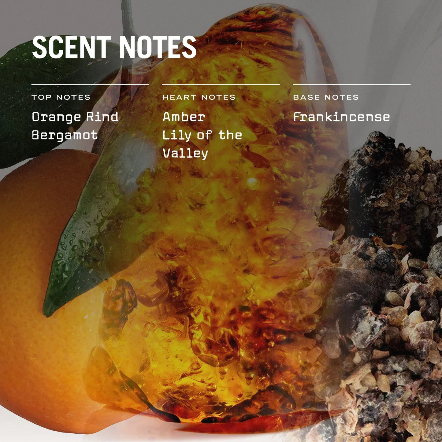 Mystice Scented Candle - Coal Harbour