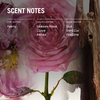 Oud Fortune Scented Candle Refill - Coal Harbour