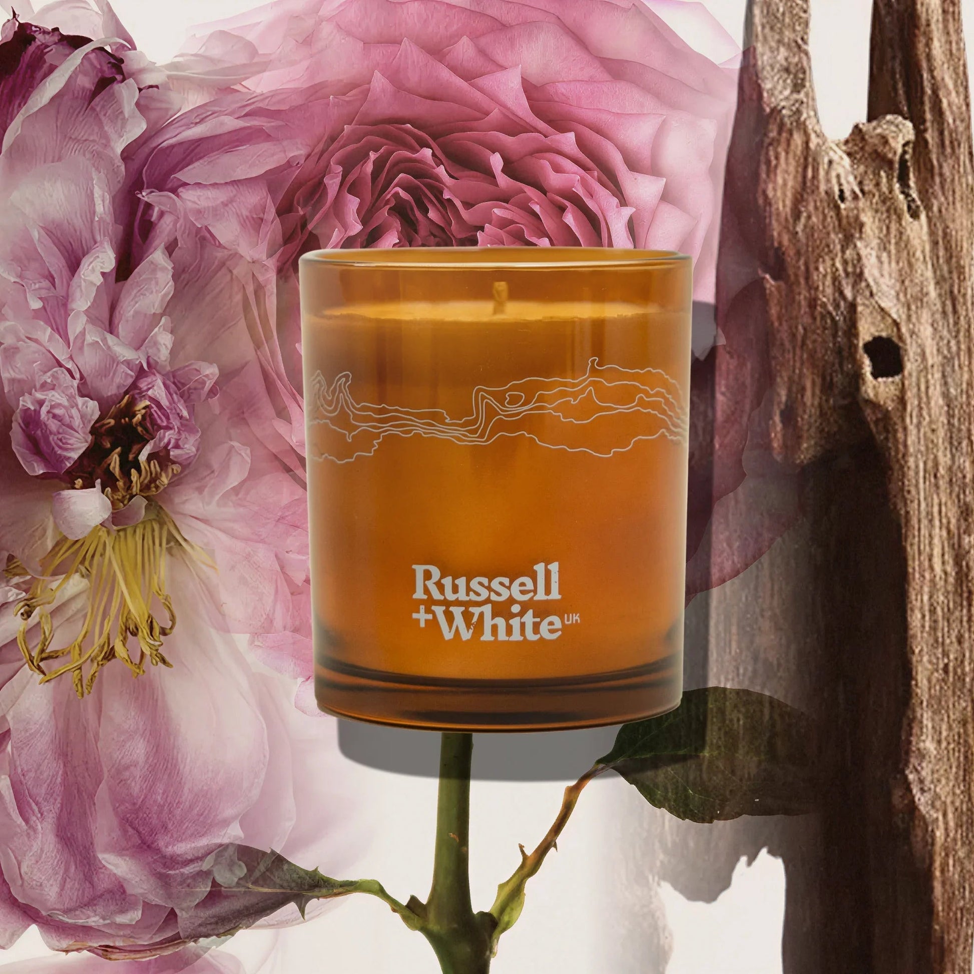 Oud Fortune Scented Candle Refill - Coal Harbour
