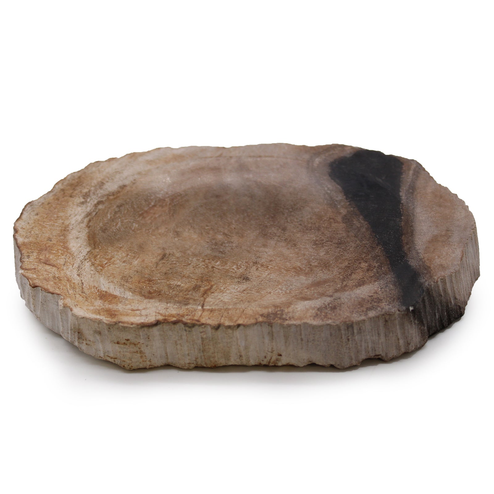 Petrified Wood Black Soap Dish - Coal Harbour