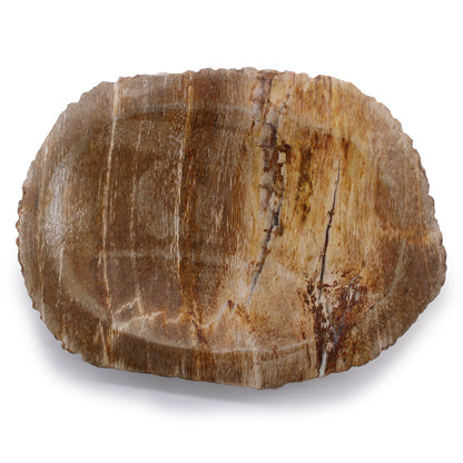 Petrified Wood Brown Soap Dish - Coal Harbour