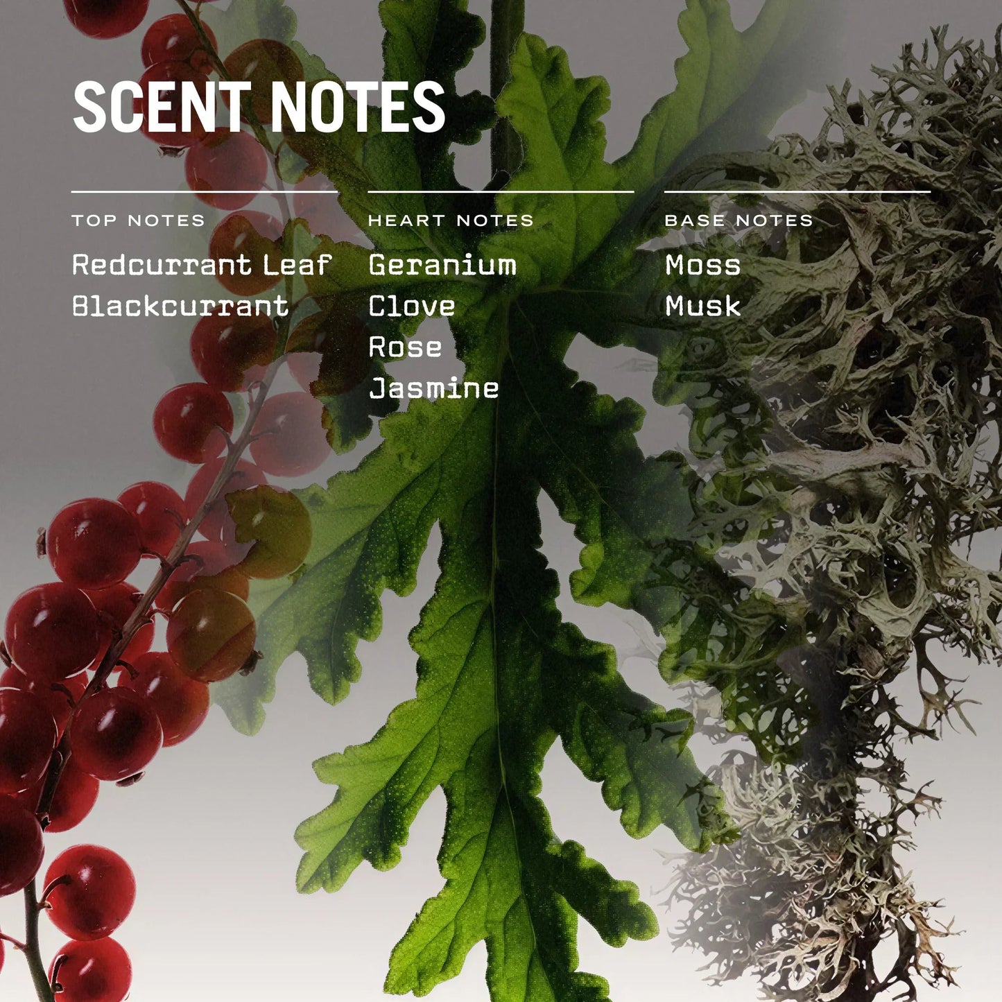 Red Lake Reed Diffuser - Coal Harbour