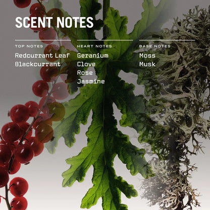 Red Lake Reed Diffuser - Coal Harbour