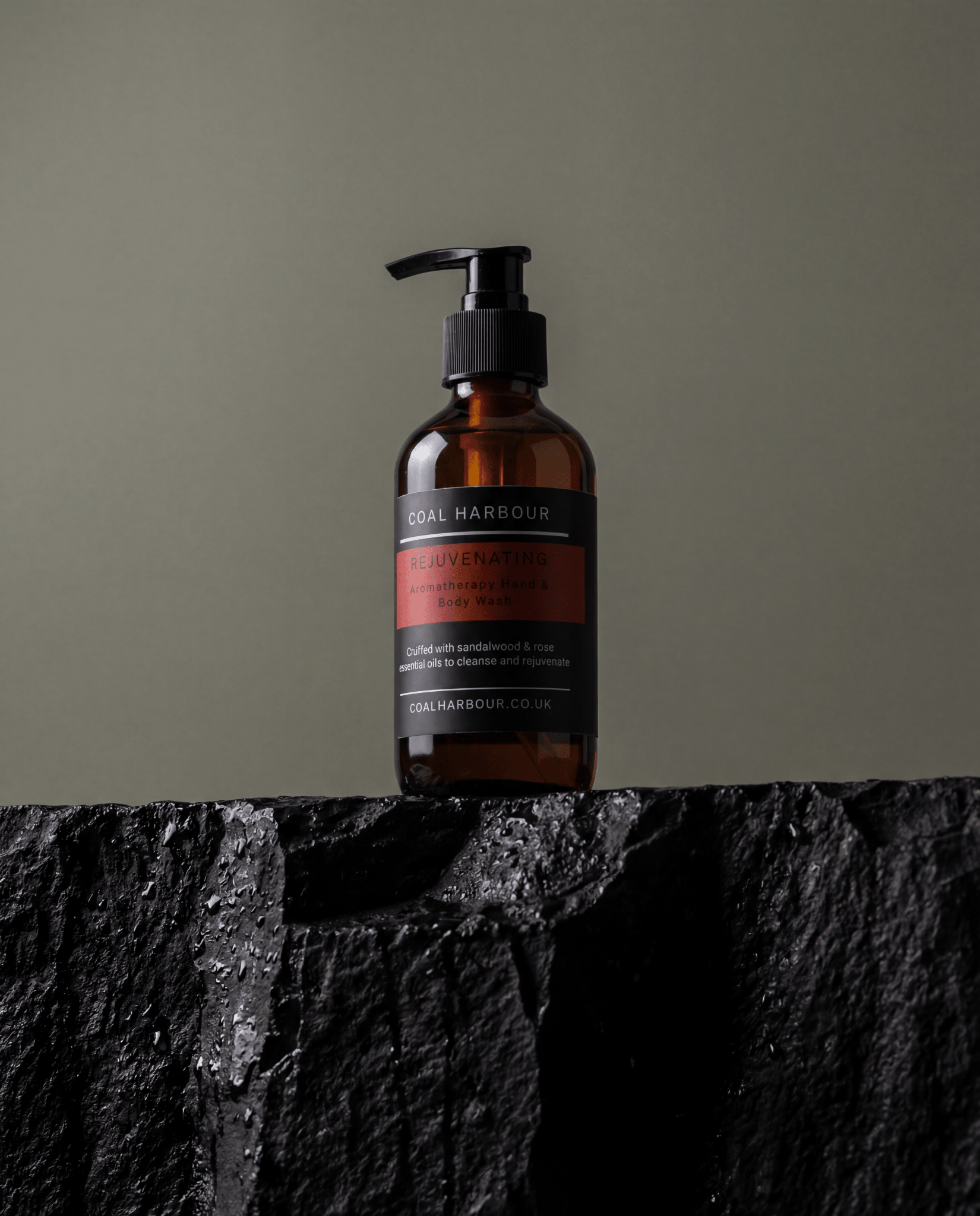 Rejuvenating Hand & Body Wash 250ml - Coal Harbour