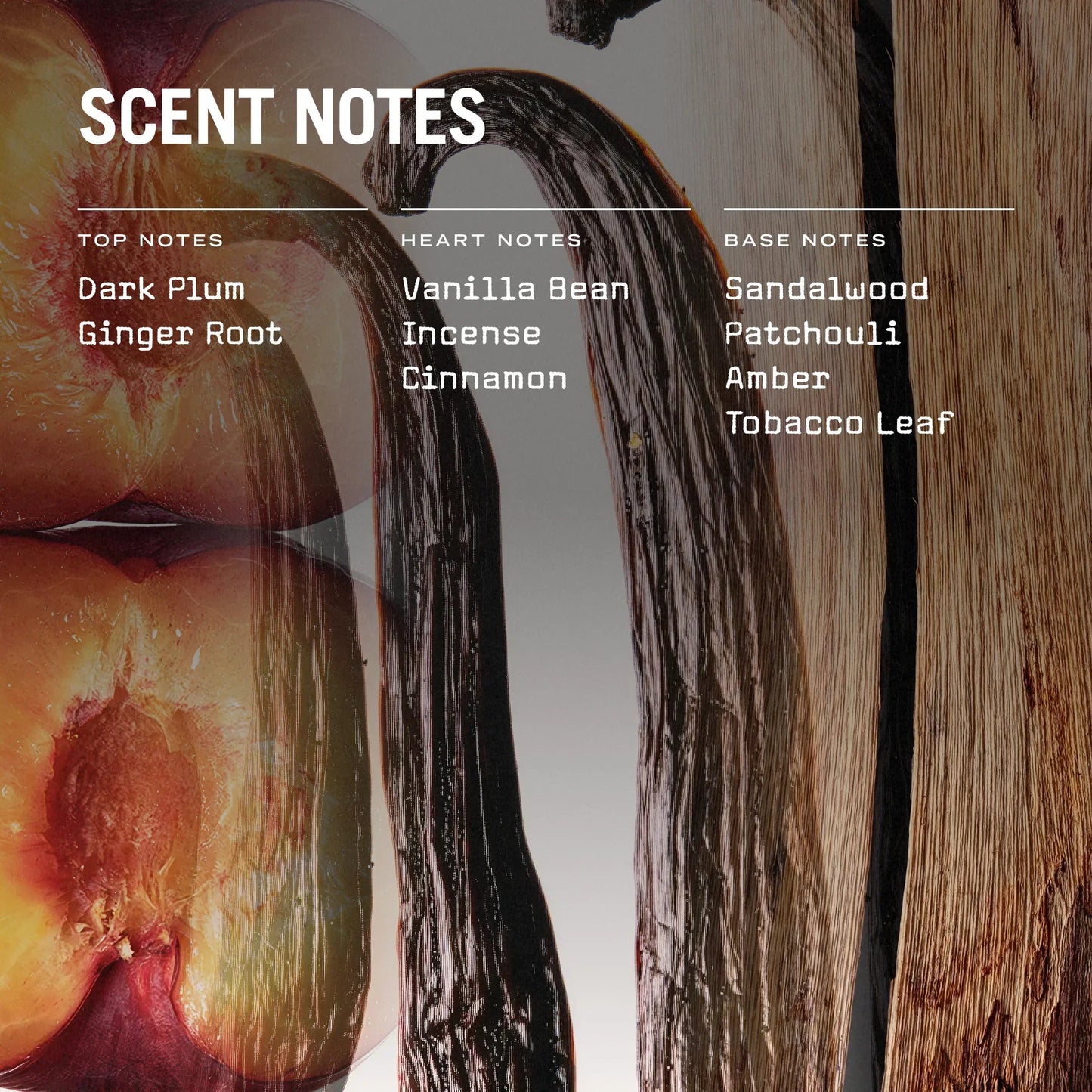 San Marco Reed Diffuser - Coal Harbour