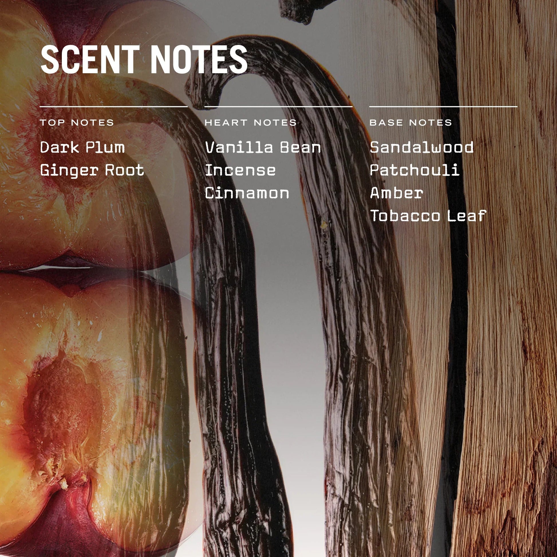 San Marco Reed Diffuser - Coal Harbour