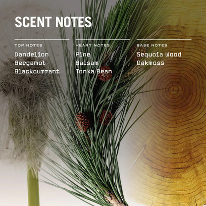 Sequoia Reed Diffuser - Coal Harbour