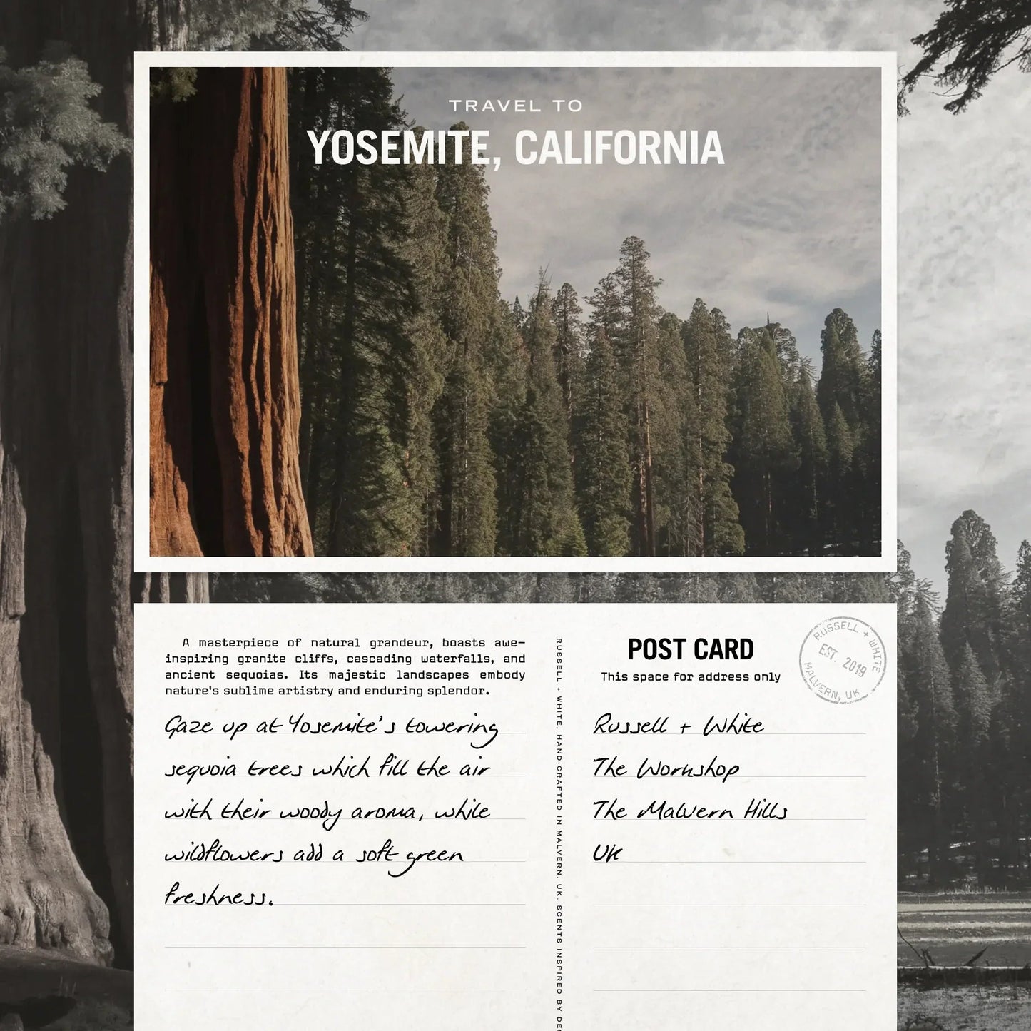 Sequoia Scented Candle - Coal Harbour