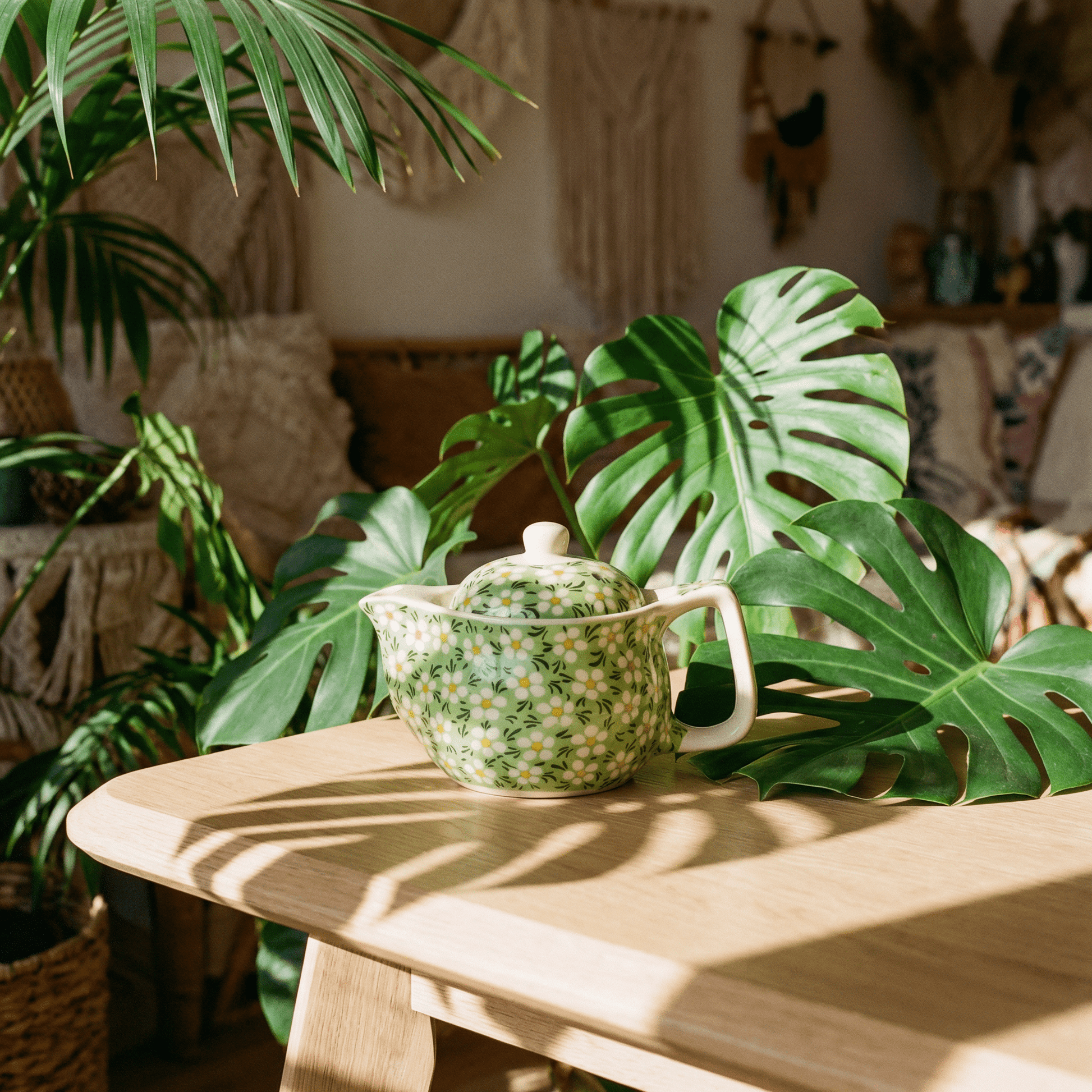 Small Herbal Teapot - Green Daisy - Coal Harbour