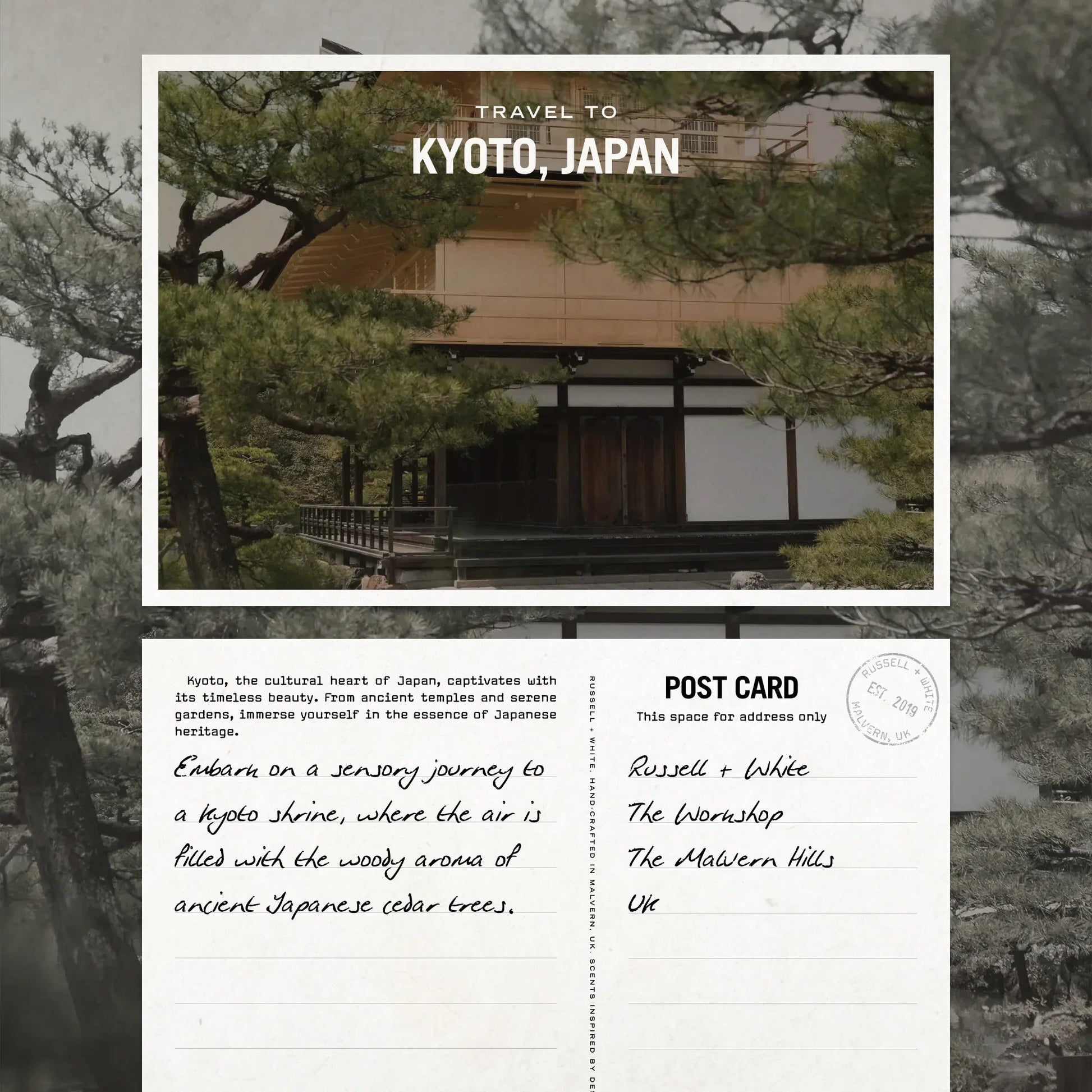 Sugi Scented Candle Refill - Coal Harbour